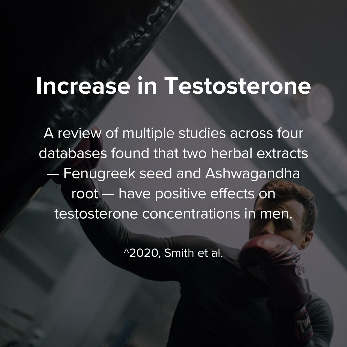 STRIVLABS Peak Potential 12-in-1 Support for Men – Fenugreek, Ashwagandha & Tongkat Ali – Natural Strength