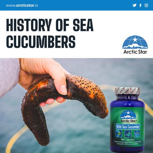 Arctic Star - Sea Cucumber Capsules - Natural Pure Iceland Atlantic Wild Caught Sea Cucumber Extract Supplement Pills - Joint Health t & Immune Health 400mg 80 Capsules/Bottle –北极星海参胶囊 Arctic StarBuy Supplements Australia