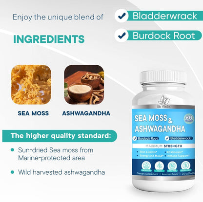 BIO VITALICA Sea Moss Ashwagandha Gummies - Organic Irish Seamoss & Ashwagandha Root Supplements for Supporting Energy for Men & Women, 60 Vegan Gummies BIO VITALICABuy Supplements Australia
