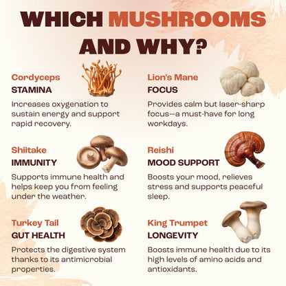 RYZE SUPERFOODS Mushroom Medium Roast Coffee USDA Organic with 6 Adaptogenic Mushrooms, USA Grown Instant Coffee for Better Energy