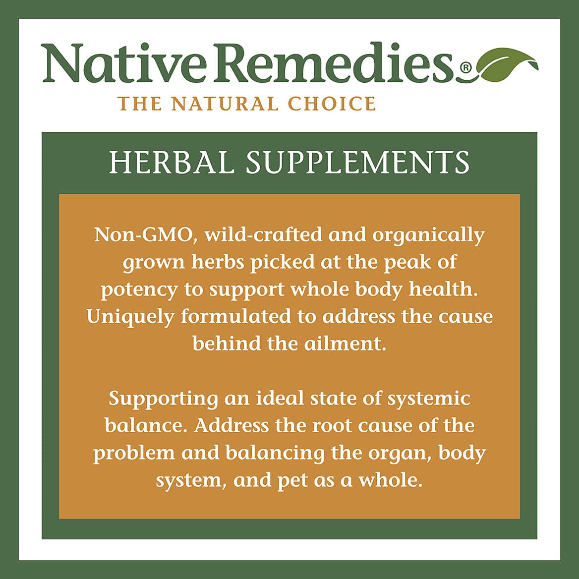 Native Remedies Inflam Dr. - All Natural Herbal Supplement Promotes Healthy Inflammation Response - Helps Fight Oxidative Stress to Cells - 60 Veggie Caps Native RemediesBuy Supplements Australia