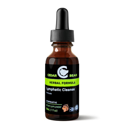 Cedar Bear - Lymphatic Cleanse Immune Support Supplement, Alcohol-Free Lymphatic Drainage Drops with Immune-Enhancing Natural Herbs, Liquid Herbal Supplements, 1 fl oz Cedar Bear Naturales buy supplements Au