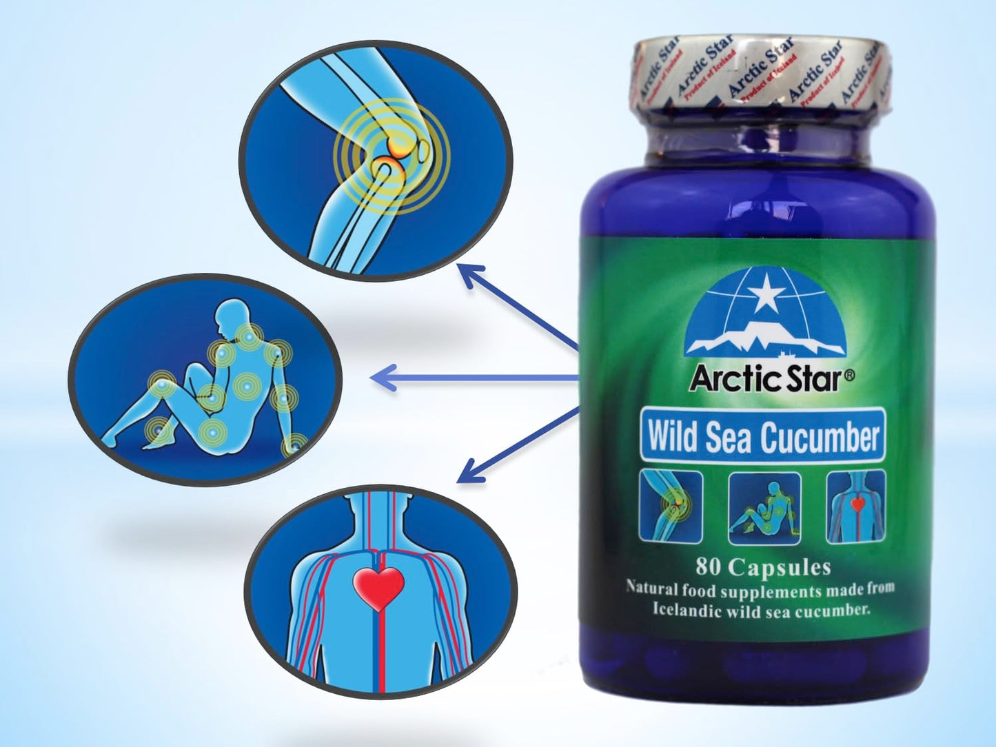 Arctic Star - Sea Cucumber Capsules - Natural Pure Iceland Atlantic Wild Caught Sea Cucumber Extract Supplement Pills - Joint Health t & Immune Health 400mg 80 Capsules/Bottle –北极星海参胶囊 Arctic StarBuy Supplements Australia