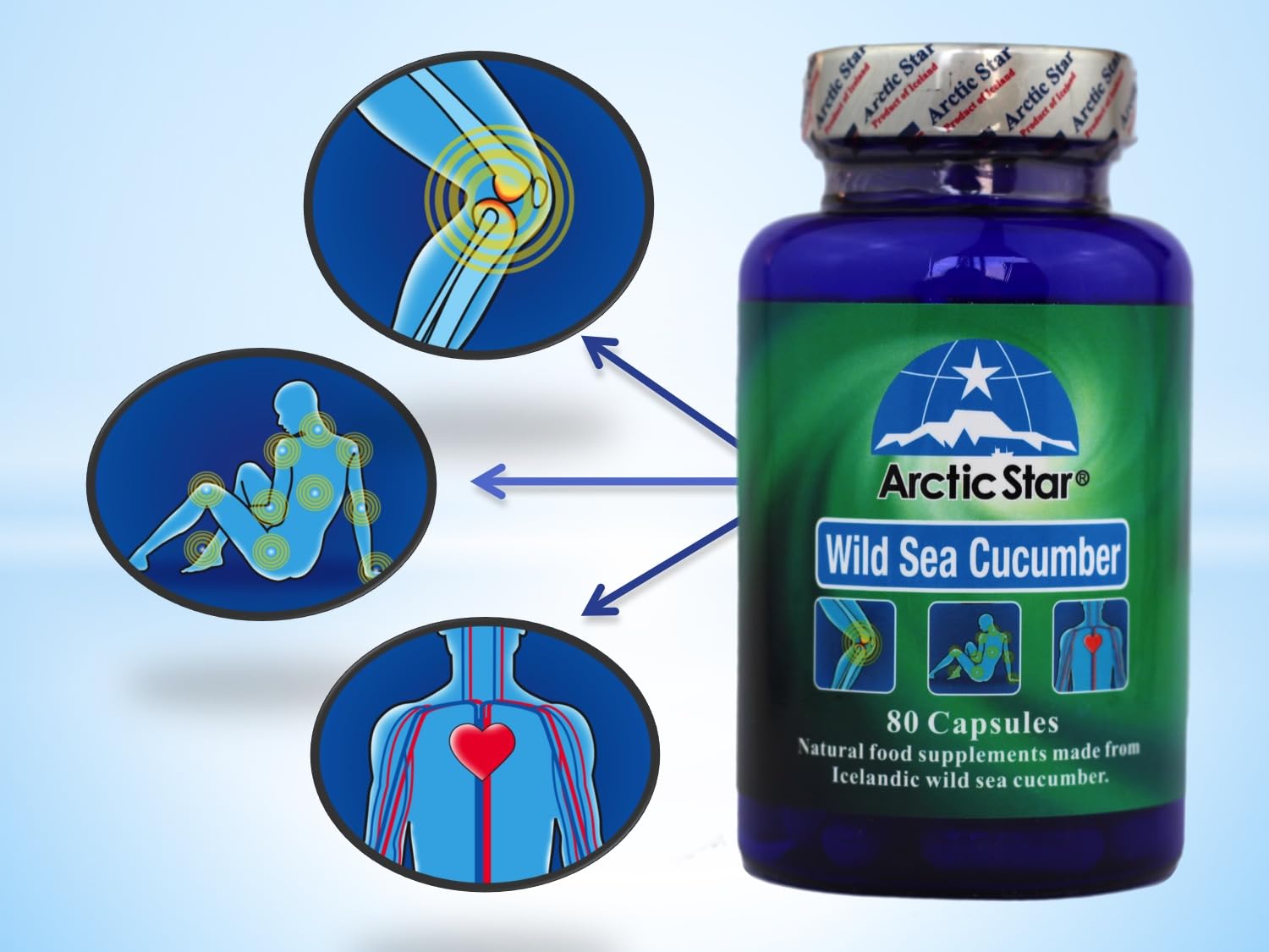 Arctic Star - Sea Cucumber Capsules - Natural Pure Iceland Atlantic Wild Caught Sea Cucumber Extract Supplement Pills - Joint Health t & Immune Health 400mg 80 Capsules/Bottle –北极星海参胶囊 Arctic StarBuy Supplements Australia