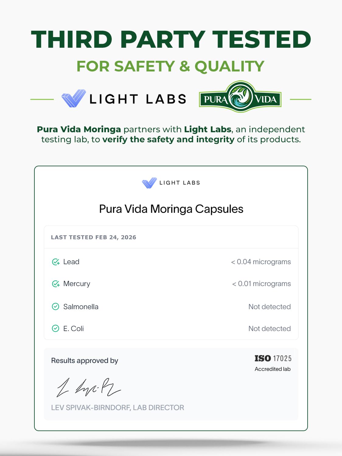 PURA VIDA MORINGA Leaf Extract Liquid Drops - USDA Organic Certified - Highly Purified, Bioavailable & Faster Absorption than Moringa Powder or Capsules