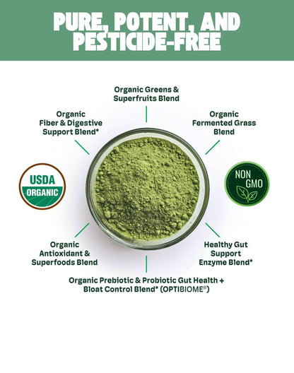 Cheerific Crisp Apple Greens Superfood Powder - 20+ Organic Superfoods + Prebiotic & Probiotics + More - Keto Friendly - Supports Positive Mood, Gut Health - Vegan, Gluten Free, Non-GMO - 30 Day Cheerific buy supplements Au