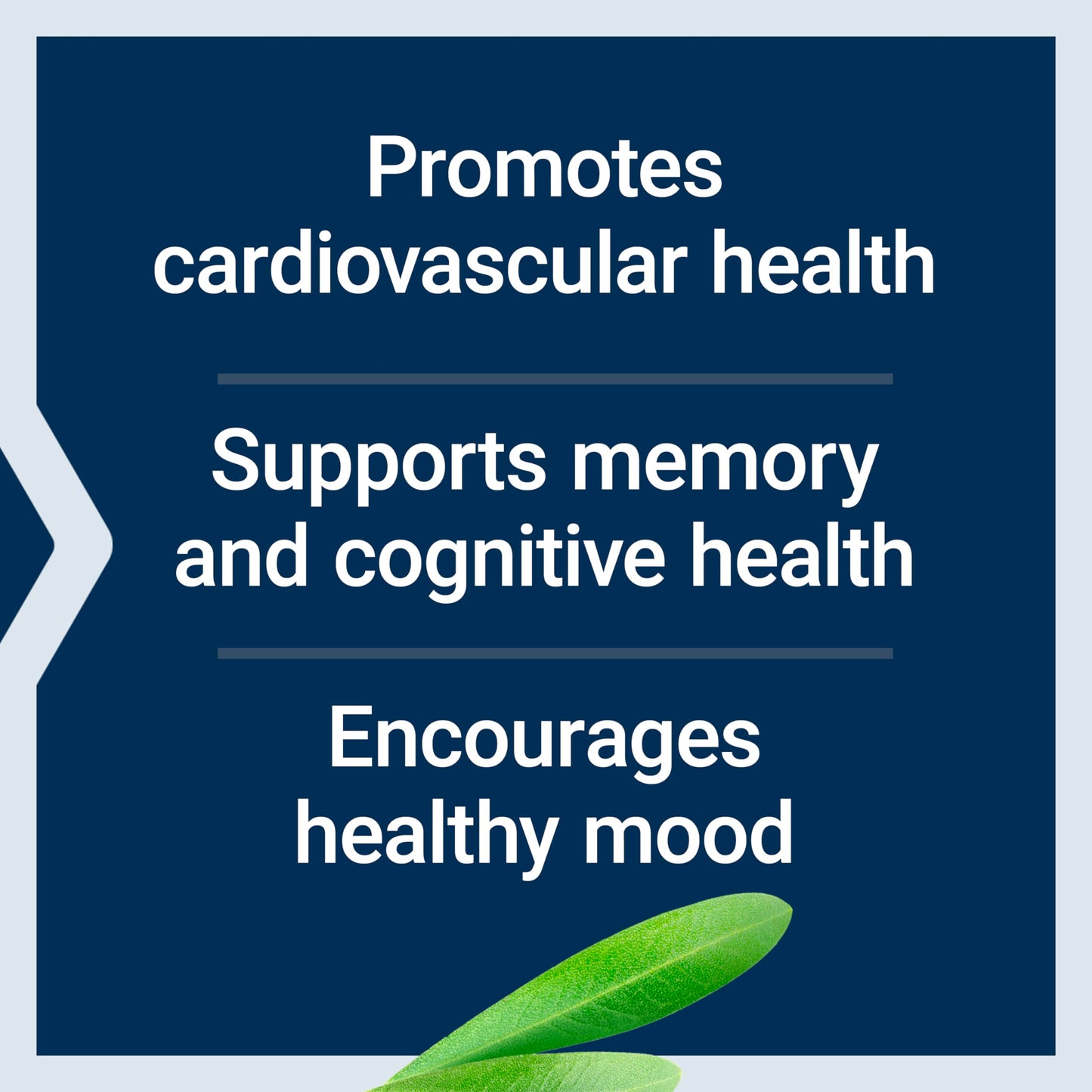 Life Extension Healthy Aging Powder, Healthy Aging Supplement, Heart Health, Brain Health, Exercise Performance, Taurine, Lithium, spermidine, Powder Blend, Non-GMO, Vegetarian, 30 Servings Life ExtensionBuy Supplements Australia