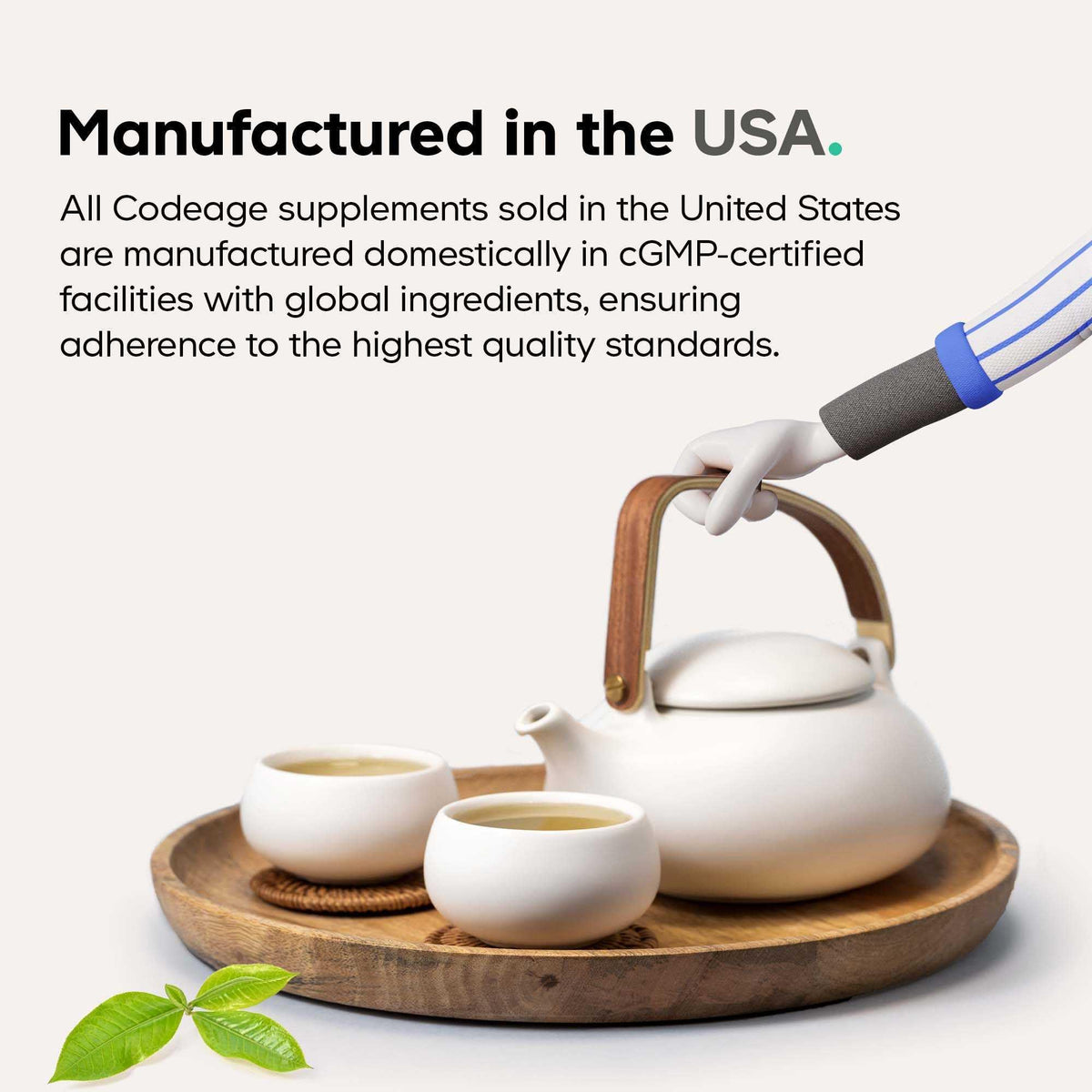 Codeage Akkermansia Synbiotic Supplement - 100 Million AFU Akkermansia Probiotic & Chicory Inulin Prebiotic - Chicory Root - 1 Capsule Per Serving - Non-GMO, Gluten-Free - 30 Capsules CodeageBuy Supplements Australia