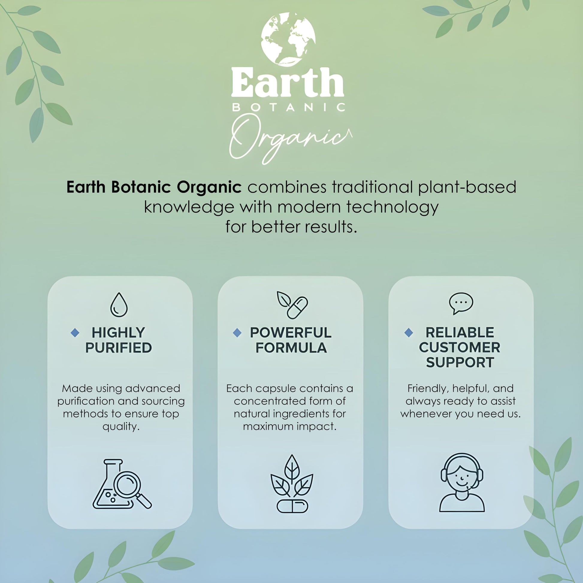 Earth BOTANIC Organic Apricot Extract, 1000 mg 120 Veggie Capsules (Vegan, Non-GMO) Herbal Supplements Earth BOTANIC OrganicBuy Supplements Australia