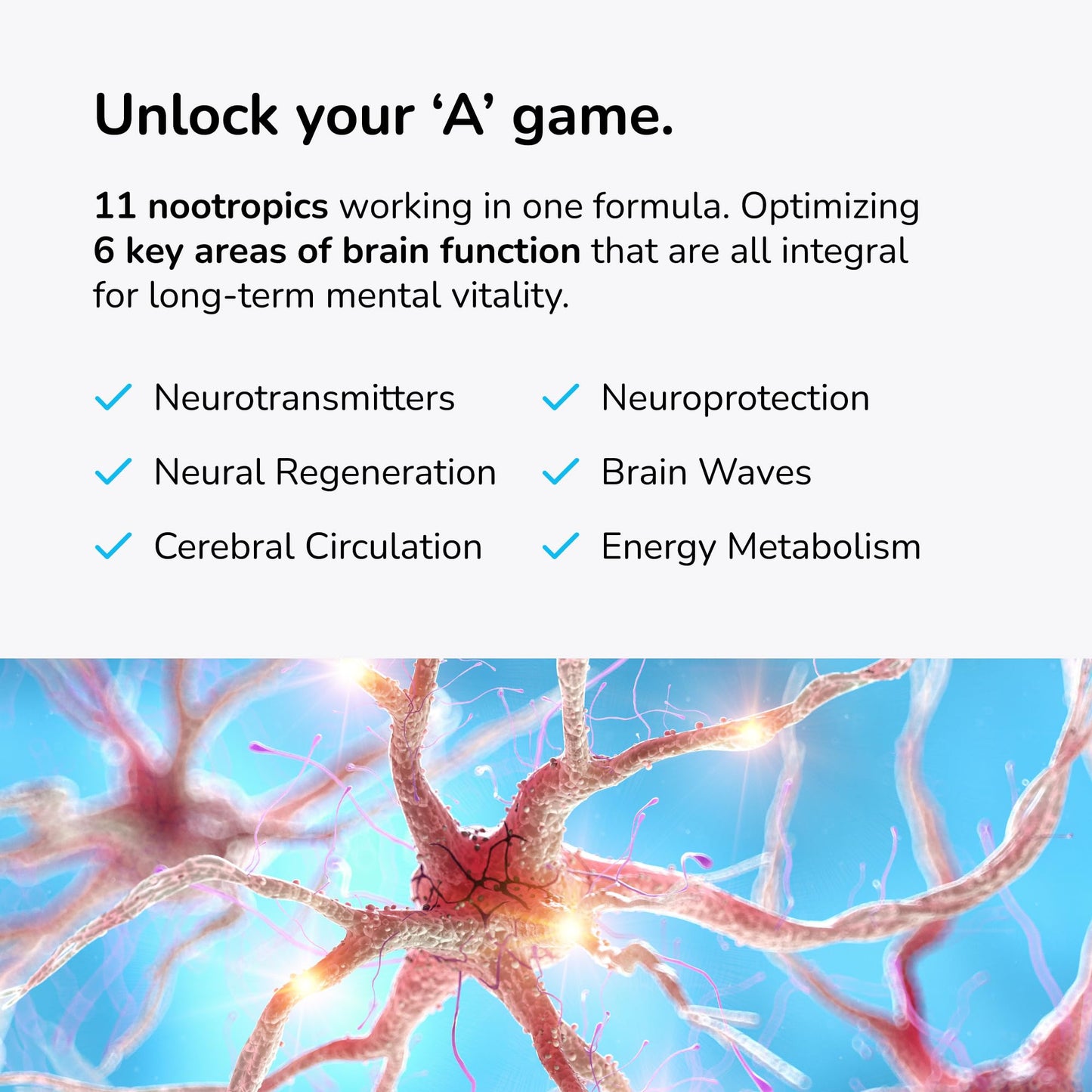 Mind Lab Pro® MLP® v4 Universal  Booster Supplement for Focus, Memory, Clarity, Energy - 60-Count - Plant-Based, Naturally Sourced Memory Vitamins