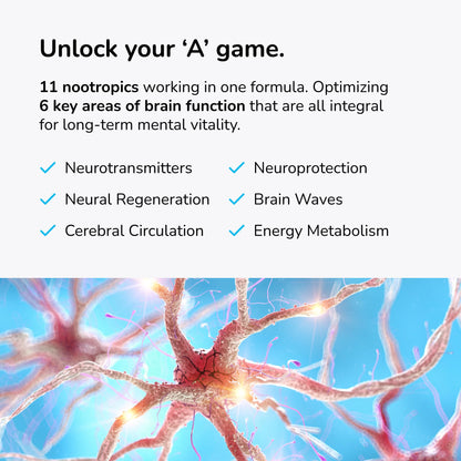 Mind Lab Pro® MLP® v4 Universal  Booster Supplement for Focus, Memory, Clarity, Energy - 60-Count - Plant-Based, Naturally Sourced Memory Vitamins