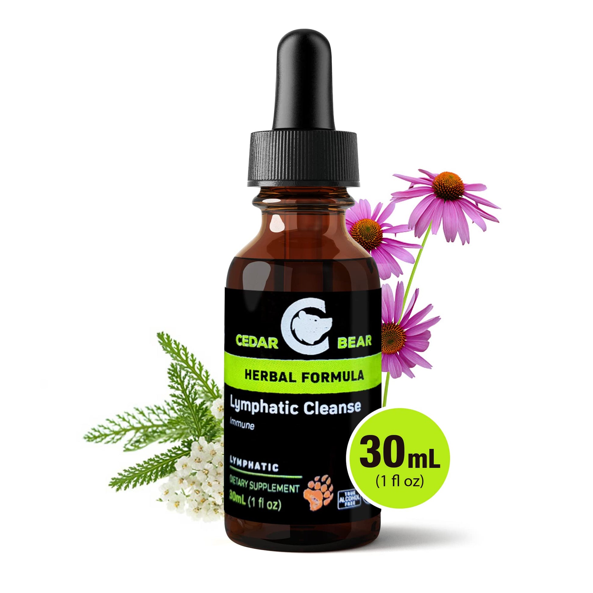 Cedar Bear - Lymphatic Cleanse Immune Support Supplement, Alcohol-Free Lymphatic Drainage Drops with Immune-Enhancing Natural Herbs, Liquid Herbal Supplements, 1 fl oz Cedar Bear Naturales buy supplements Au