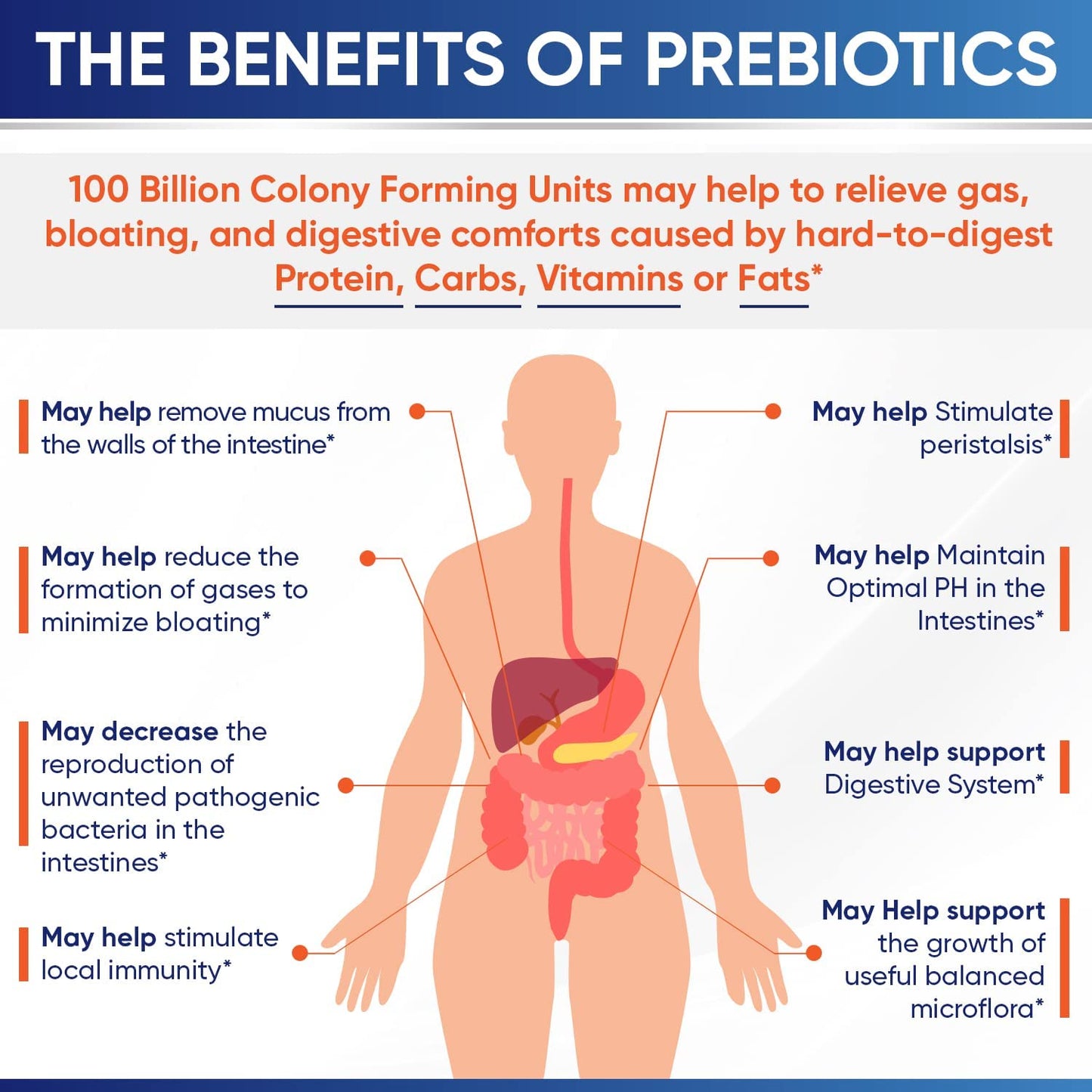 Wholesome Wellness Organic Raw Probiotics 100 Billion CFU, Dr Formulated for Women and Men, Complete Adult Supplement with Prebiotics