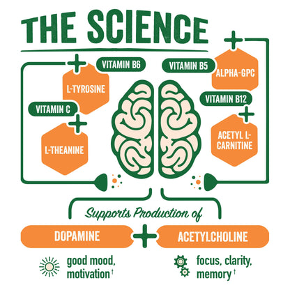BrainJuice Nootropics Brain Support Supplement, Gluten Free Powder for Energy and Focus, Pre Workout w/Alpha GPC, Vitamin B & Organic Green Tea Extract Caffeine, Active Pomegranate Acai, 15 Servings BrainJuice buy supplements Au