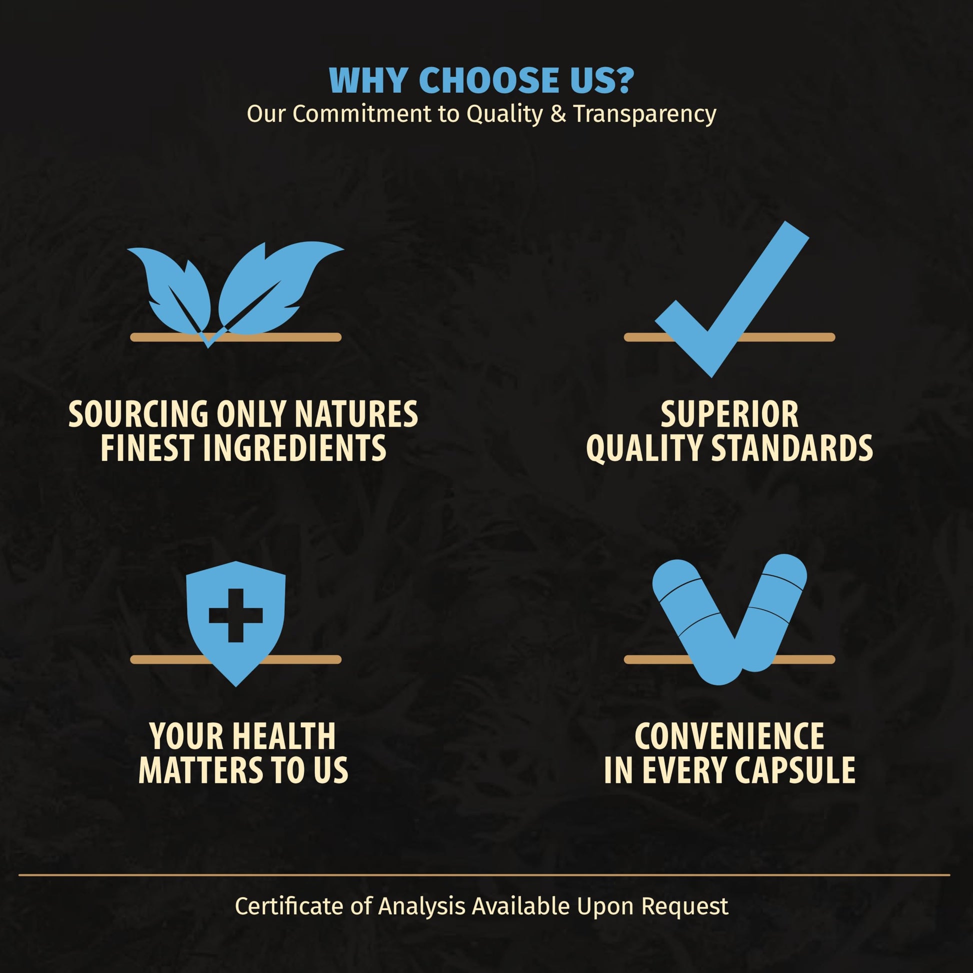 Rooted Origins Sea Moss Capsules – Irish Sea Moss Advanced, Magnesium, Ashwaghanda, Black Seed Oil, Burdock Root & Bladderwrack – Immune Support, Gut Health, Energy, & More – 60 Capsules Rooted OriginsBuy Supplements Australia