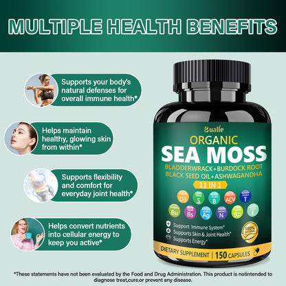 Bualle Irish Sea Moss Capsules – Organic Sea Moss, Black Seed Oil, Ashwagandha Supplements with Bladderwrack, Ginger & Burdock Root – Supports Daily Wellness, Skin & Energy – 150 Count (1 Pack) Bualle buy supplements Au