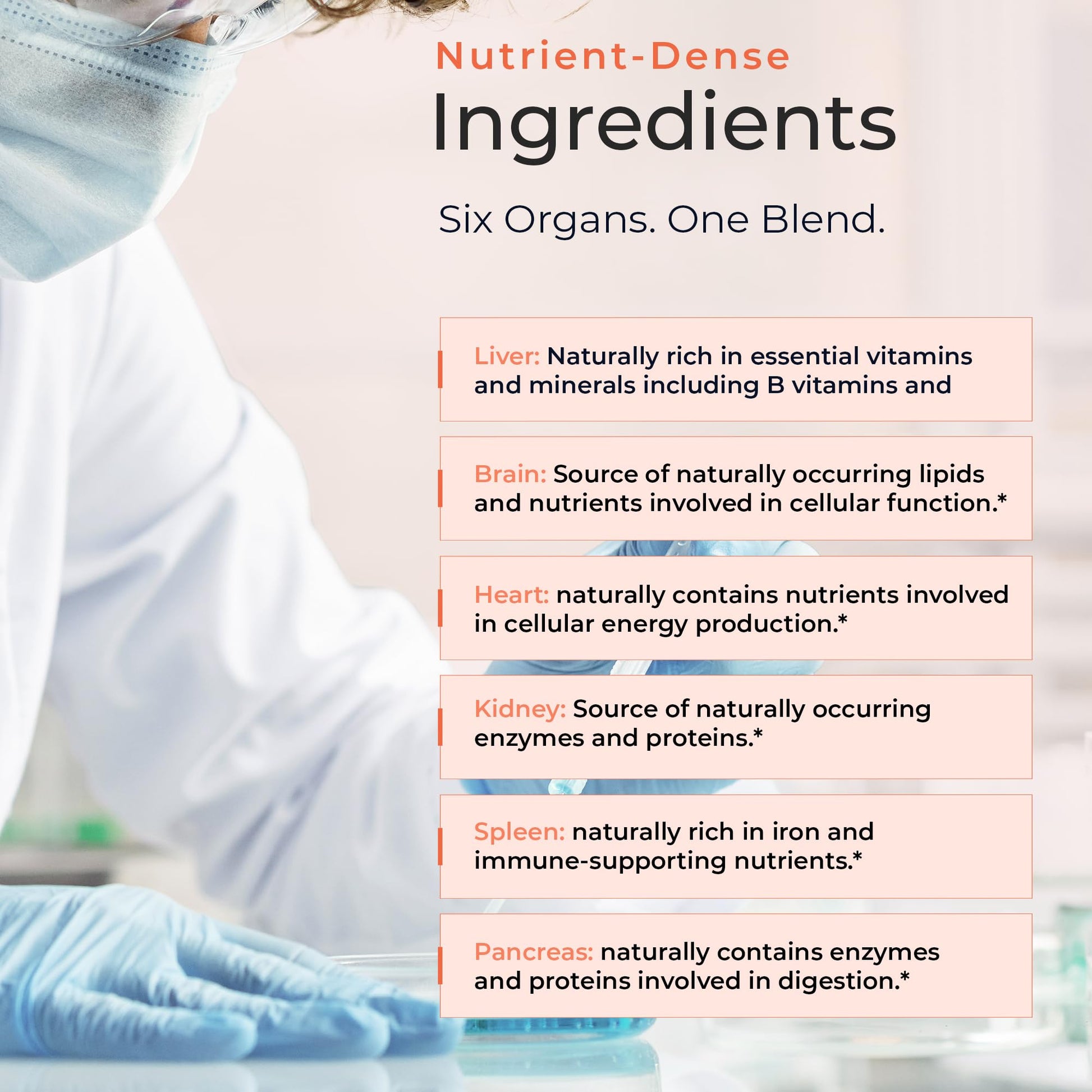 Molecular Fertility Beef Organ Complex - Pasture-Raised, Grass Fed Beef Liver, Brain, Heart, Spleen, Pancreas Blend, Healthy Hormone Balance and Fertility Supplement for Women and Men, 180 Capsules Molecular FertilityBuy Supplements Australia