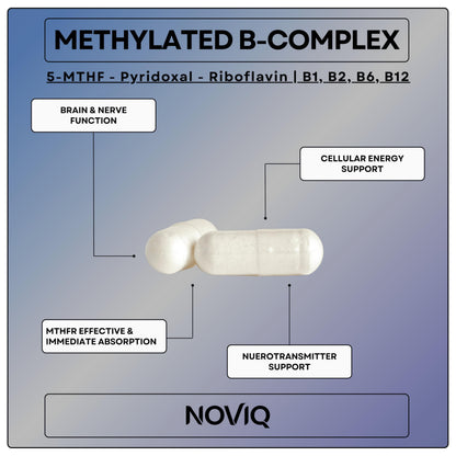 11-in-1 Nootropic Supplement: Supports Memory & Cognition - 100mg Ginkgo 150mg Bacopa 300mcg Huperzine 200mg L-Theanine 150mg L-Tyrosine & Bioactive B-Complex w/ 5-MTHF - 1,100mg+ Serving - 60 Count NOVIQBuy Supplements Australia