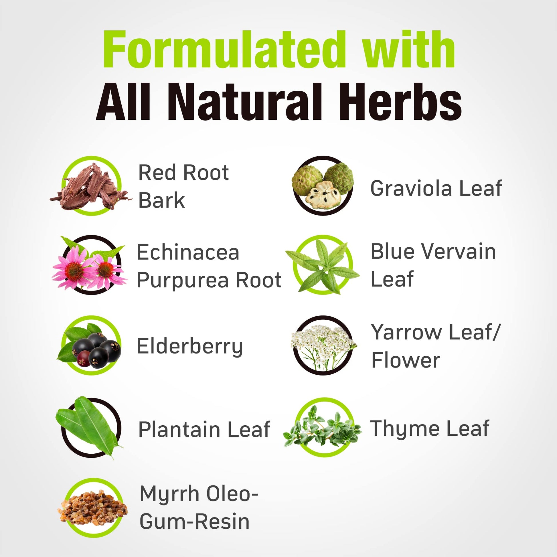 Cedar Bear - Lymphatic Cleanse Immune Support Supplement, Alcohol-Free Lymphatic Drainage Drops with Immune-Enhancing Natural Herbs, Liquid Herbal Supplements, 1 fl oz Cedar Bear Naturales buy supplements Au