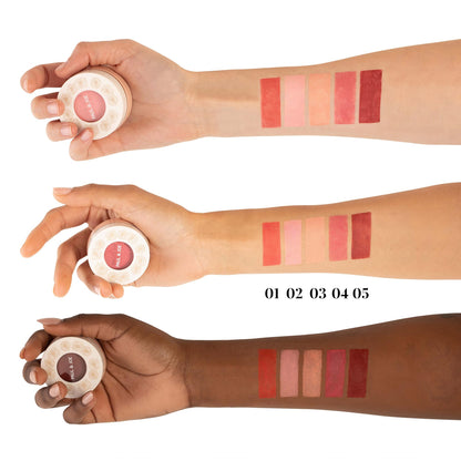 Paul & Joe Gel Blush, Bright and Buildable Blush Makeup, Water-Based Gel Makeup Blush with Hydrating Oils for Dewy, Radiant Finish, Garnet and Wine Red Cheek Tint, 05 Sommeliere, 0.71 oz Paul & JoeBuy Supplements Australia