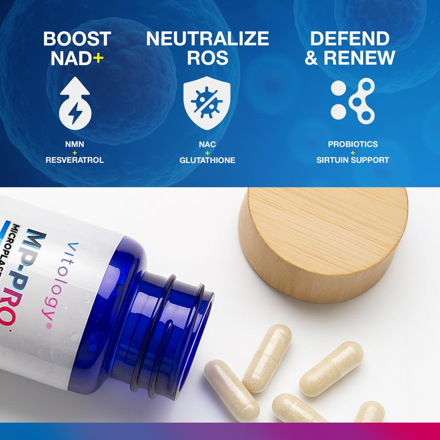 Vitology MP-PRO Microplastics Defense | 15 Billion CFU Probiotic + Antioxidant Blend | NMN, NAC, Glutathione, Resveratrol & Charcoal | Supports Cellular Detox, Longevity & Gut Health – 60 Capsules Vitology buy supplements Au