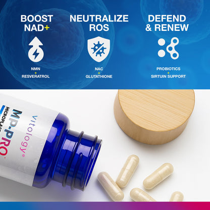 Vitology MP-PRO Microplastics Defense | 15 Billion CFU Probiotic + Antioxidant Blend | NMN, NAC, Glutathione, Resveratrol & Charcoal | Supports Cellular Detox, Longevity & Gut Health – 60 Capsules Vitology buy supplements Au