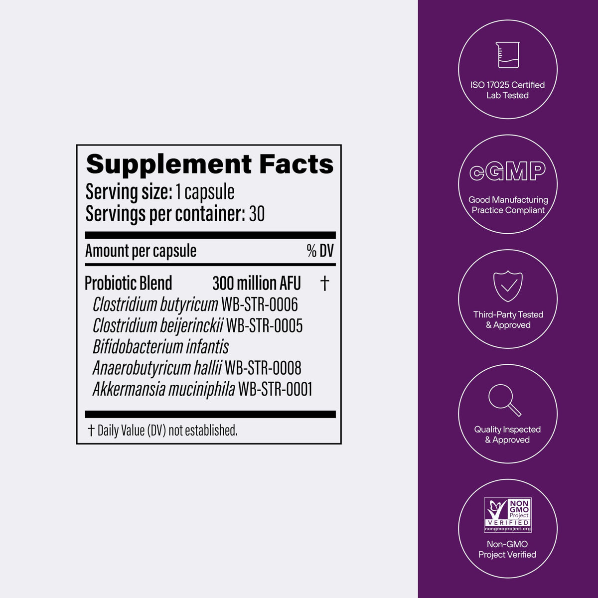 Pendulum Metabolic Daily - Multi-Strain Probiotic with Akkermansia muciniphila to Support Metabolism and Sustain Energy Levels