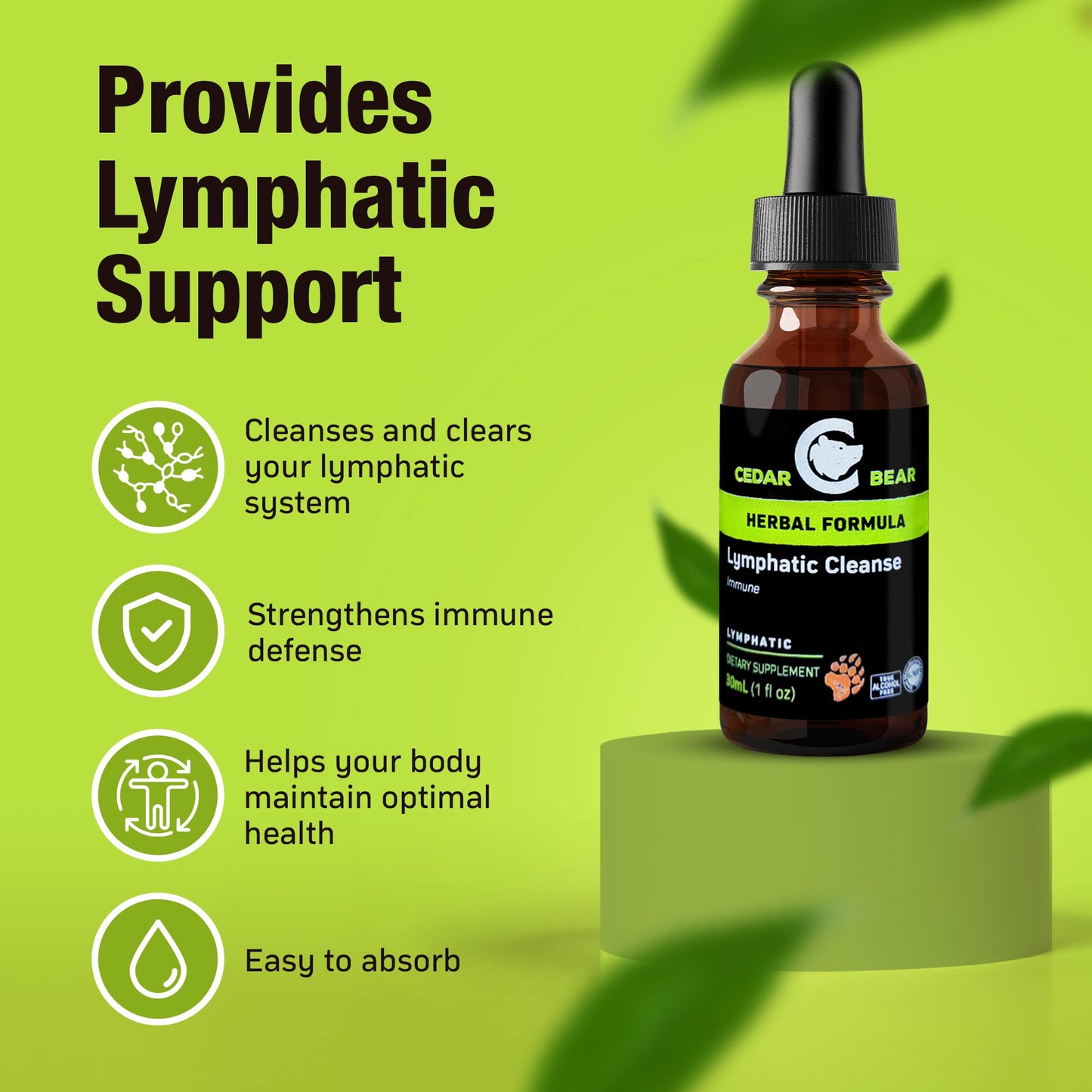 Cedar Bear - Lymphatic Cleanse Immune Support Supplement, Alcohol-Free Lymphatic Drainage Drops with Immune-Enhancing Natural Herbs, Liquid Herbal Supplements, 1 fl oz Cedar Bear Naturales buy supplements Au