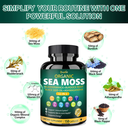 Bualle Irish Sea Moss Capsules – Organic Sea Moss, Black Seed Oil, Ashwagandha Supplements with Bladderwrack, Ginger & Burdock Root – Supports Daily Wellness, Skin & Energy – 150 Count (1 Pack) Bualle buy supplements Au