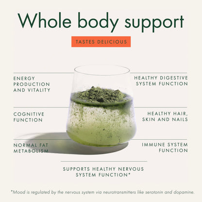 WelleCo The Super Elixir Daily Greens Powder, Probiotic Drink Mix with Whole Foods, Gluten Free, Vegan Gut Health Powder, Energy, Immunity, Healthy Skin, Hair & Nails (Jar, Blood Orange) WelleCo buy supplements Au