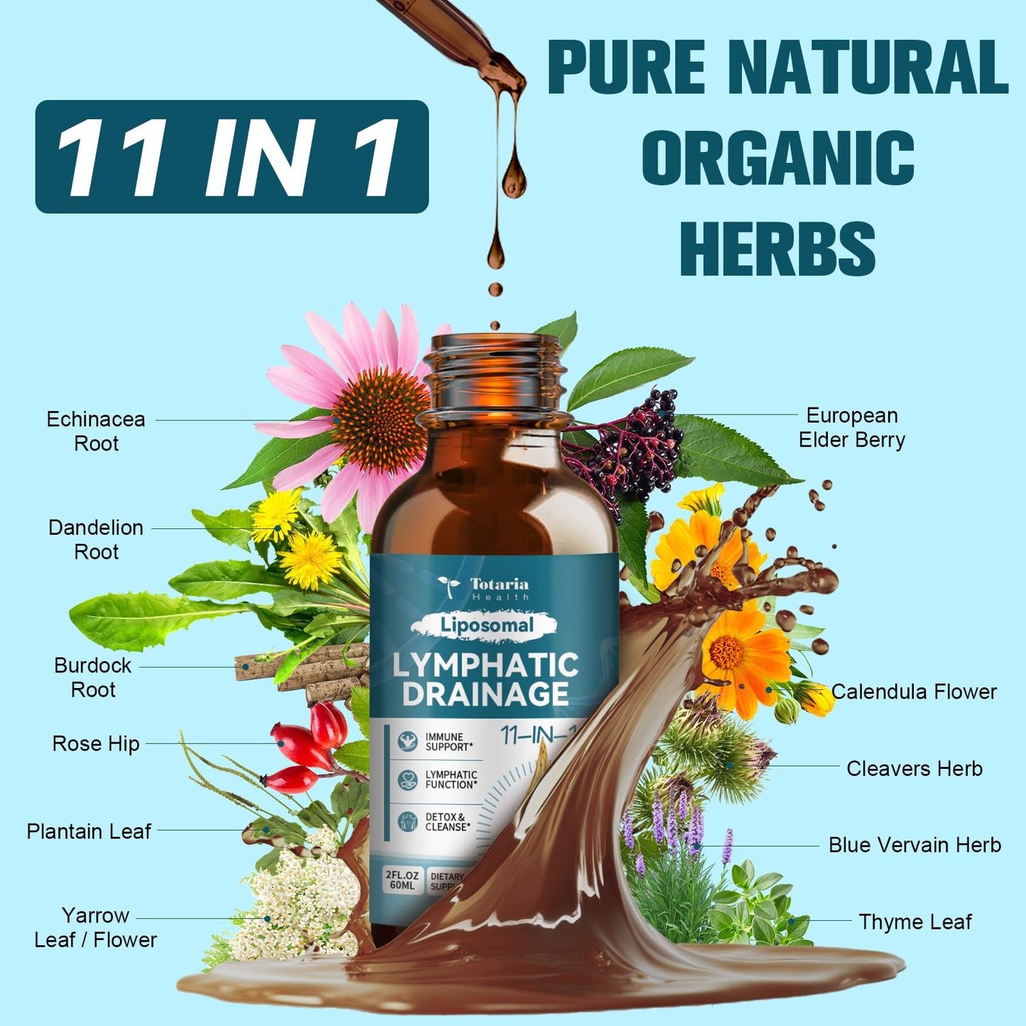 Liposomal Lymphatic Drainage Drops - 11 In 1 Organic Lymphatic Drainage Supplement with Burdock Root, Echinacea, Elderberry, Calendula, Cleavers Herb, Dandelion Supports Lymphatic Health 2 FL.OZ Totaria buy supplements Au