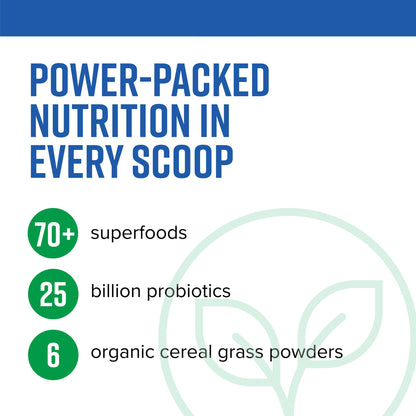 Vibrant Health, Green Vibrance, Superfoods Powder with 70+ Plant-Based Whole Foods & 25 Billion Probiotics Per Serving, Blueberry Lemon, 25 Servings Vibrant HealthBuy Supplements Australia