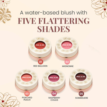 Paul & Joe Gel Blush, Bright and Buildable Blush Makeup, Water-Based Gel Makeup Blush with Hydrating Oils for Dewy, Radiant Finish, Garnet and Wine Red Cheek Tint, 05 Sommeliere, 0.71 oz Paul & JoeBuy Supplements Australia