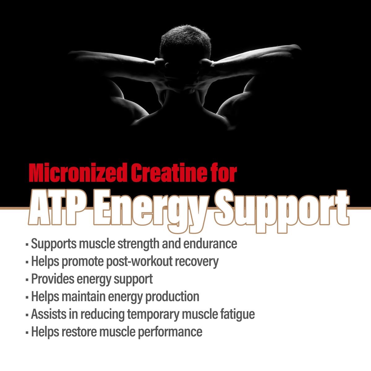 METALIFE 100% Pure Creatine Monohydrate Powder 200 Servings, Micronized Powder, Muscle Growth, Unflavored, Ideal for Athletes & Fitness Enthusiasts,