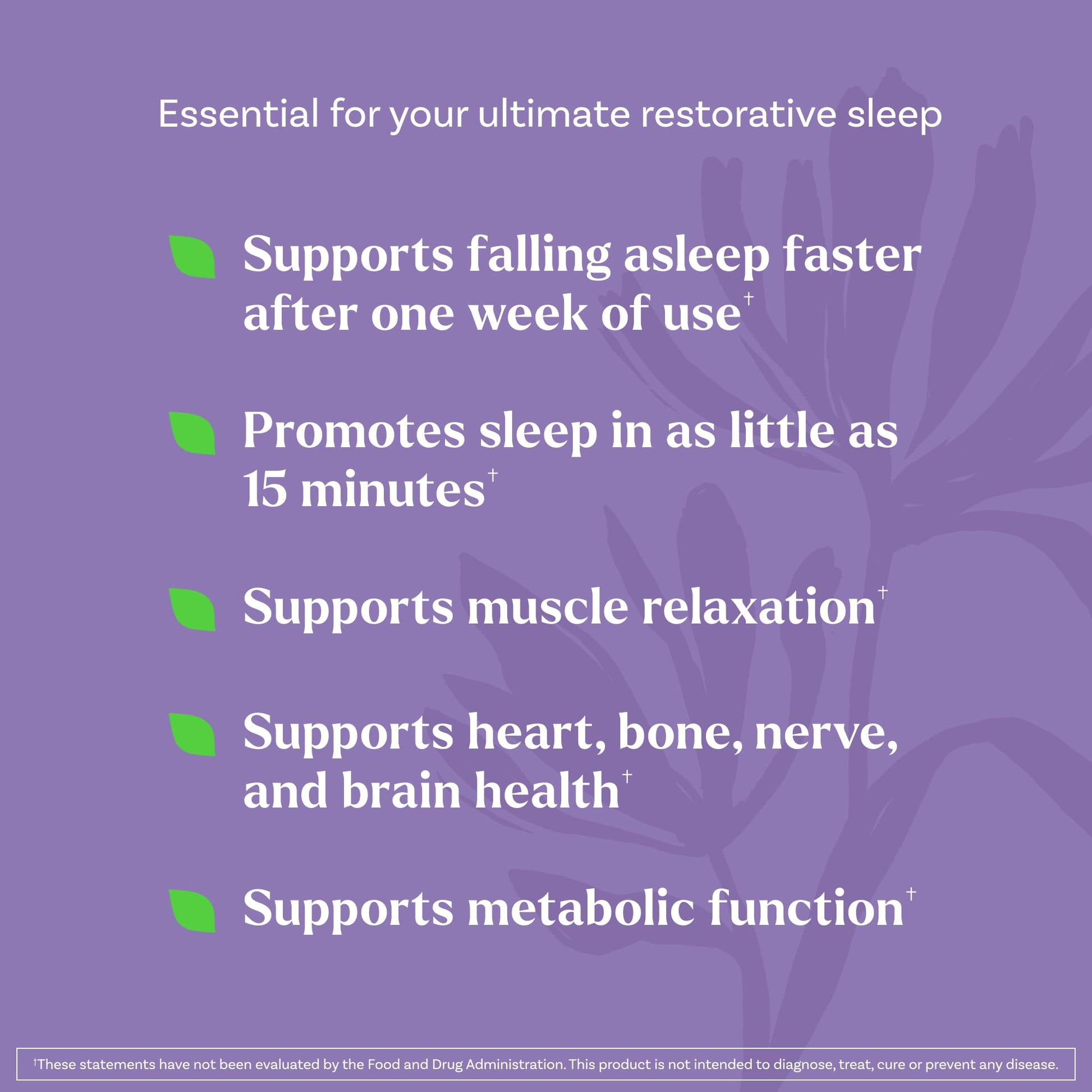 Natrol Sleep + Restore Magnesium Glycinate Blend Gummies with Melatonin 5mg - Calm Magnesium with GABA, Botanical Blend, Cherry Flavor, 60 Gummies NatrolBuy Supplements Australia