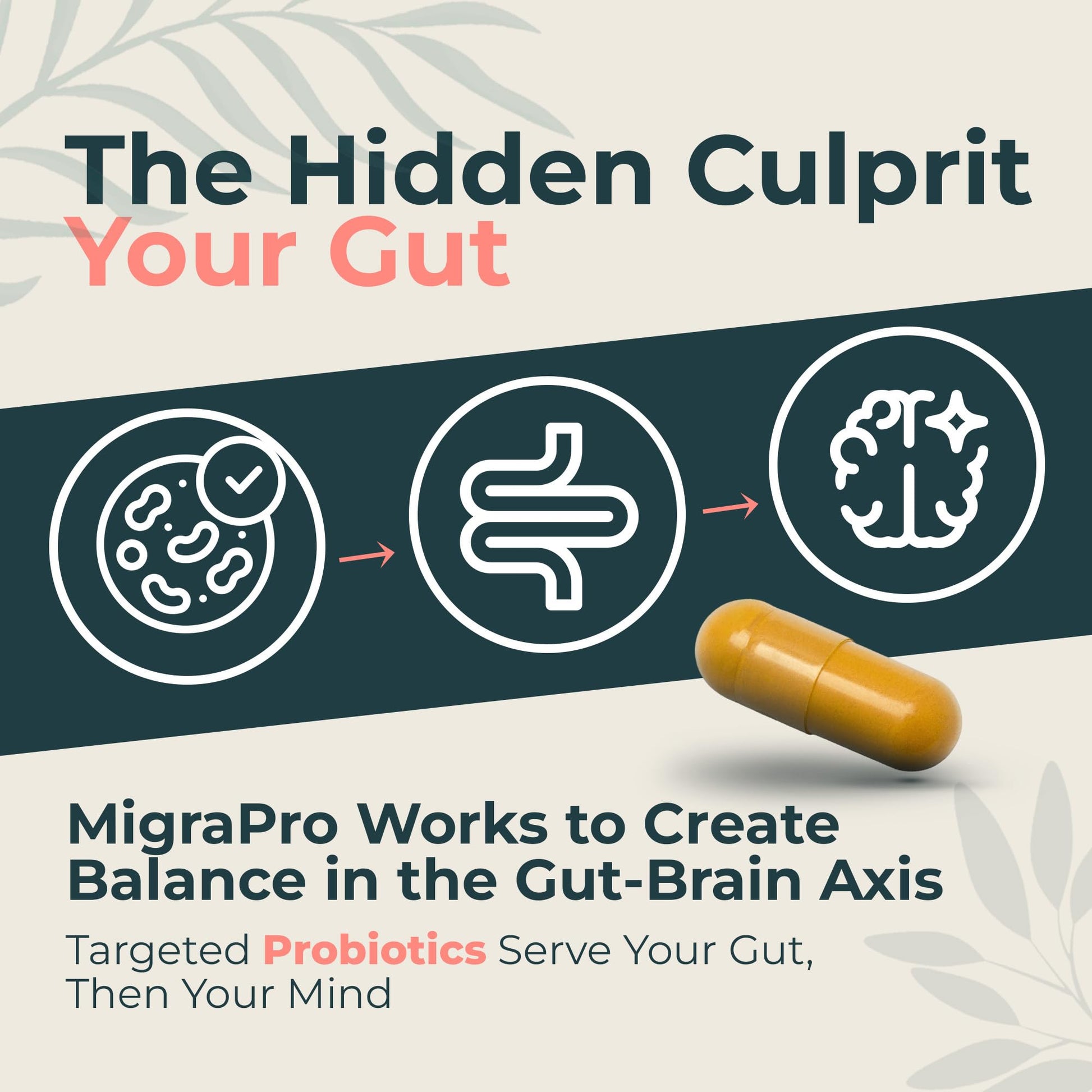 Dr. Munnerlyn MigraPro with Probiotics, Brain and Gut Health Support Supplement with Magnesium, Riboflavin, CoQ10, Ginger Root, Asian Ginseng, Vitamin C, Feverfew & Turmeric, Gluten Free, 90 Capsules Dr. Munnerlyn buy supplements Au