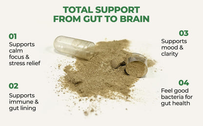 Gut-Brain Synergy Probiotic & Nootropic – 30Billion CFU Psychobiotic + Prebiotic with Ashwagandha, L-Theanine & Zinc for Gut Health, Mood Support, Stress Relief, Bloating Relief & Brain Focus & Memory