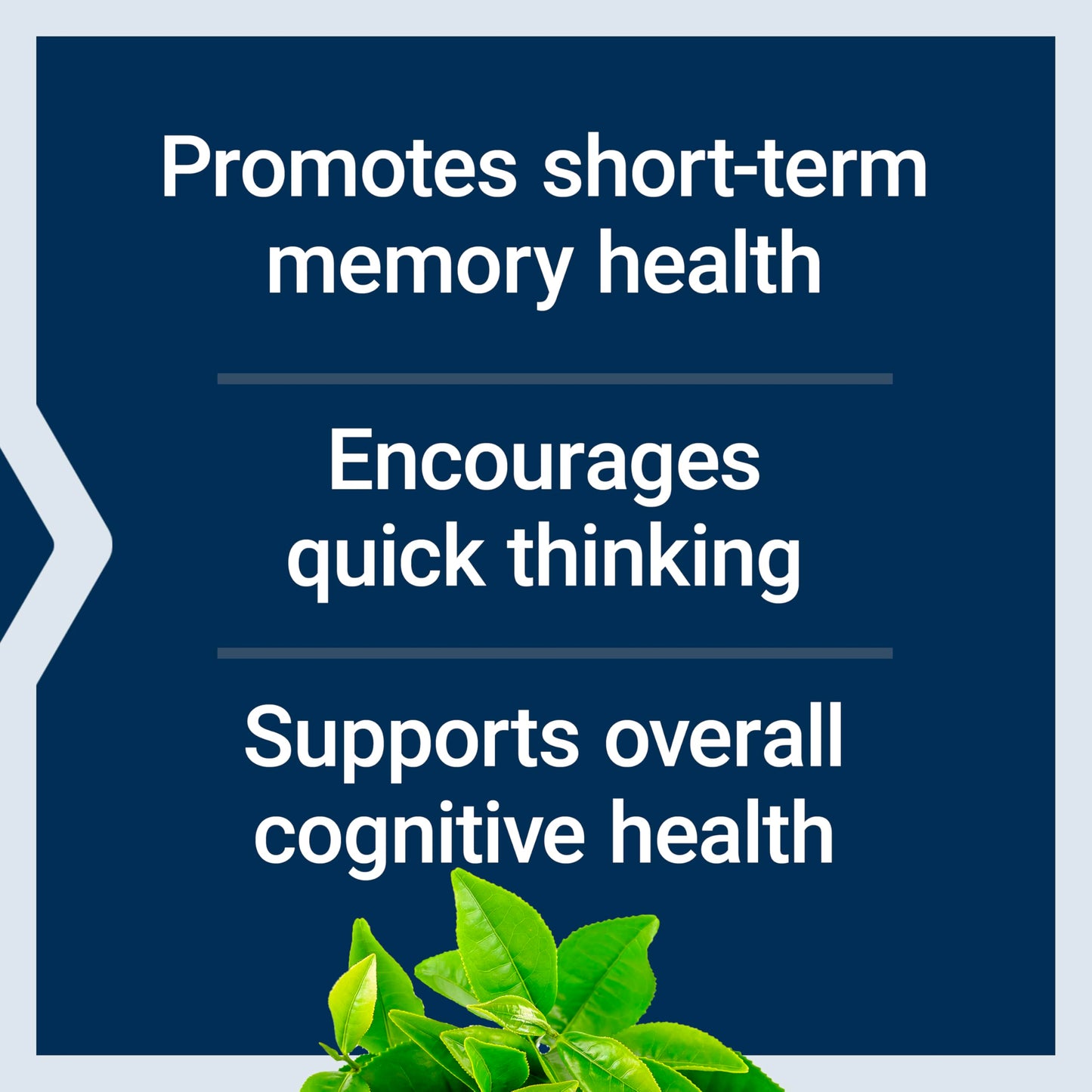 Life Extension Neuro-Mag Magnesium L-Threonate, Memory Health, Quick Thinking, Cognitive Health Support, Vegetarian, Non-GMO, 90 Vegetarian Capsules (144 mg from 2000 mg Magtein magnesium L-threonate Life Extension buy supplements Au