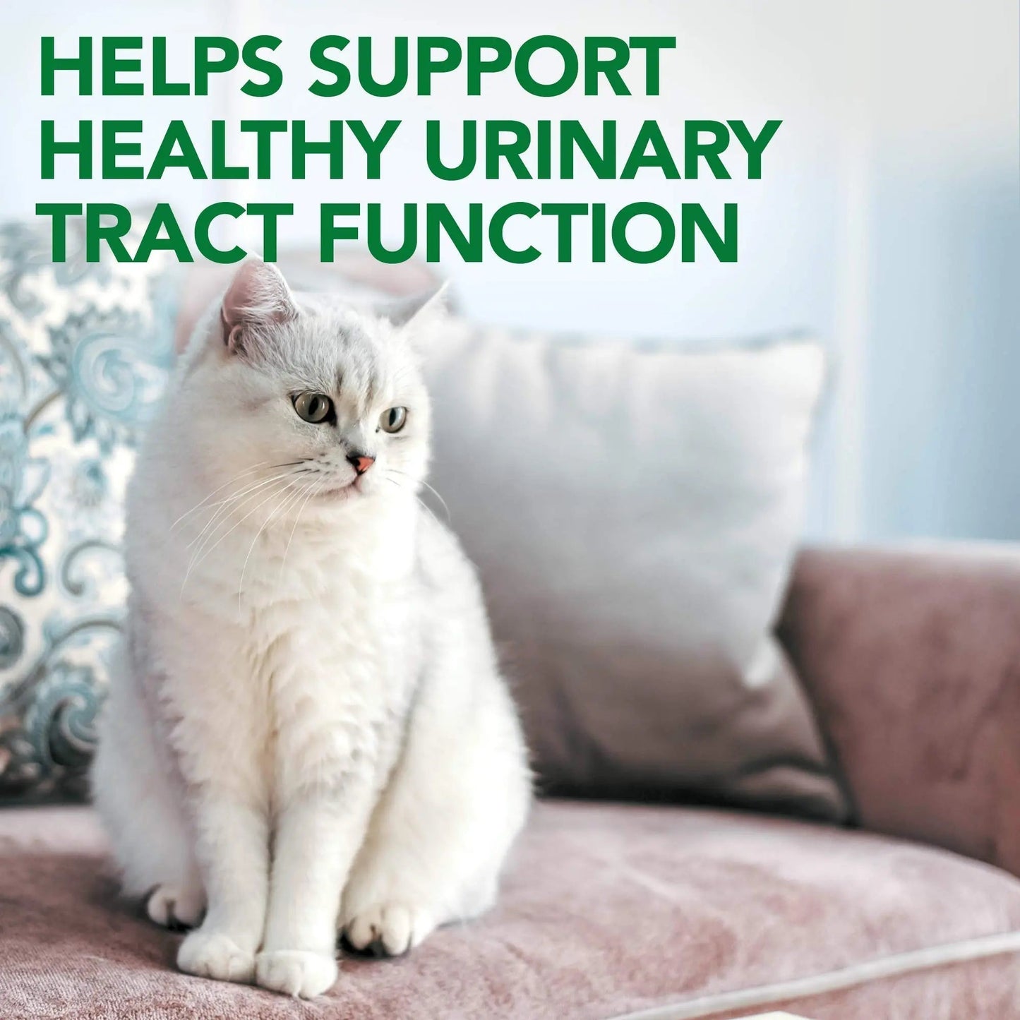Vet's Best Cat Urinary Supplement, Urinary Tract Support Chewable for Cats, Supports A Healthy Urinary Tract in Cats, 60 Chewable Tablets Vet's BestBuy Supplements Australia