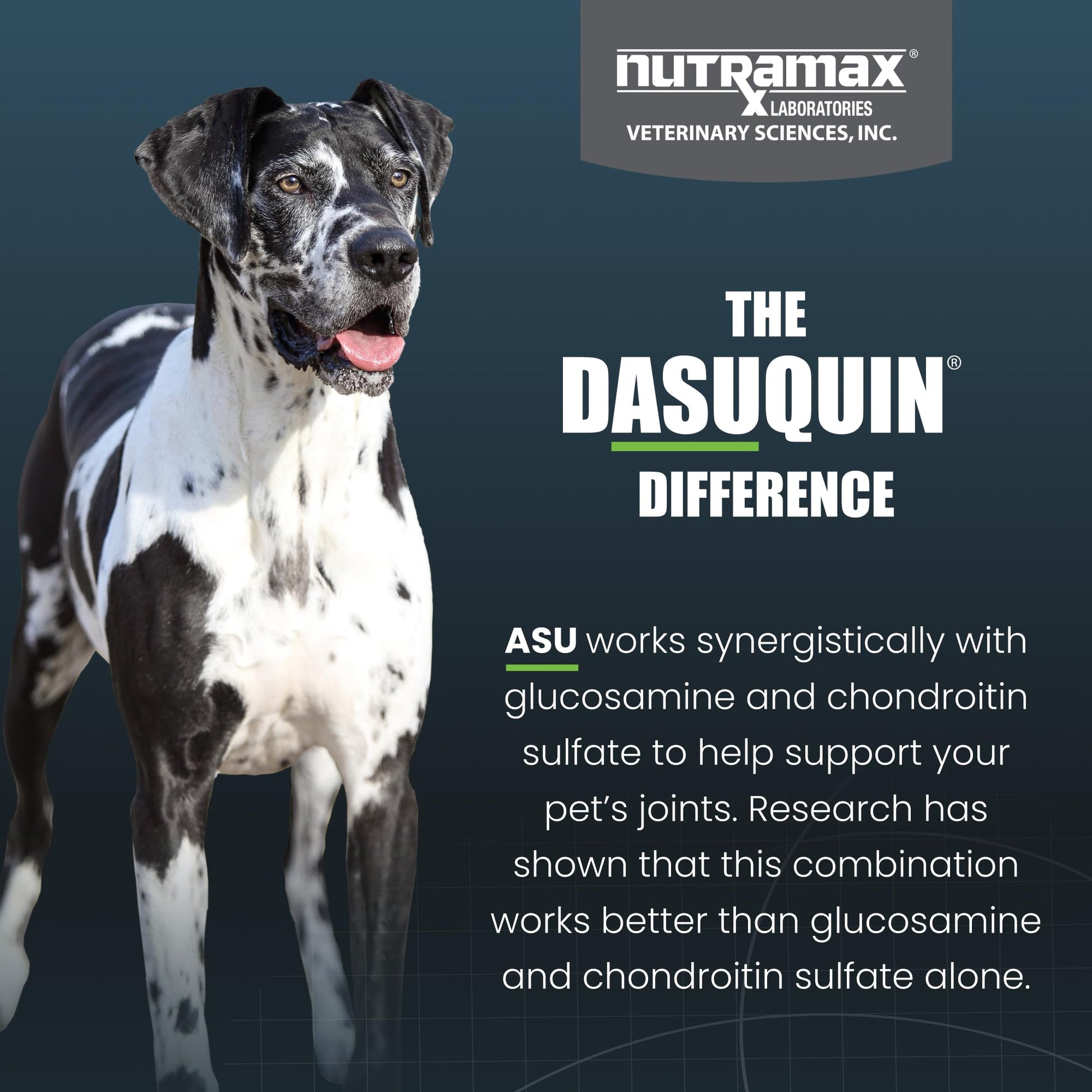 Nutramax Dasuquin for Large Dogs, Joint Health Supplement, Contains Glucosamine for Dogs, Plus Chondroitin, ASU, MSM and More, Supports Healthy Joints, Soft Chews, 150 Count Nutramax LaboratoriesBuy Supplements Australia