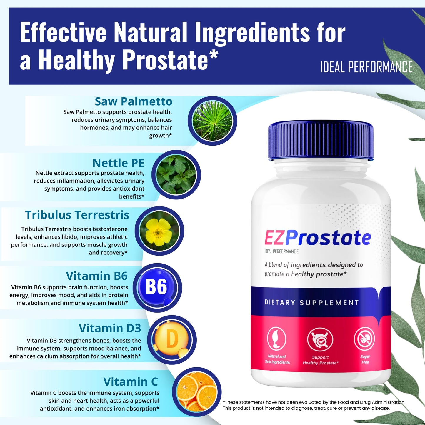 EZ Prostate Capsules, EZ Prostate Pills - Official EZ Prostate Supplement Pills - Maximum Strength Advanced All Natural Formula, EZProstate Health Men Pastillas Reviews (2 Pack) IDEAL PERFORMANCEBuy Supplements Australia