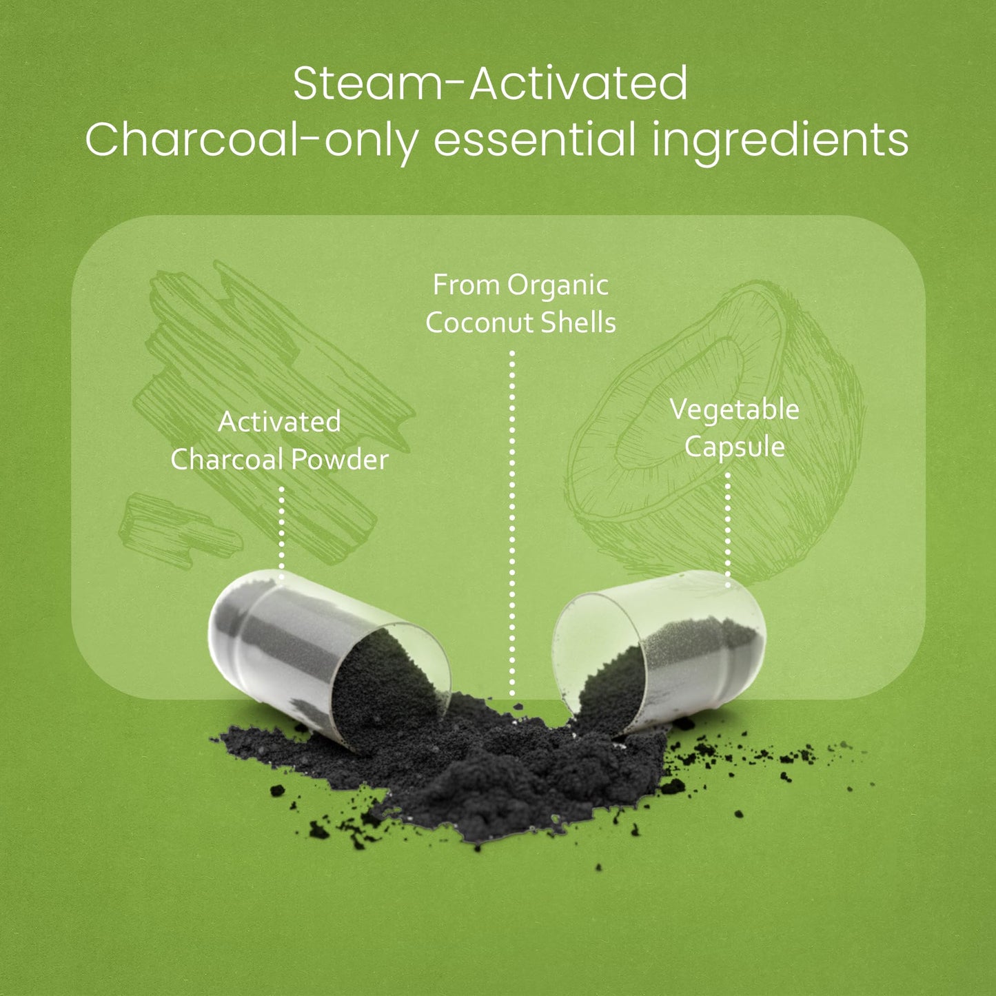 NaturaLife Labs Activated Charcoal 1200 mg per Serving – from Coconut Shells – 100 Veg Capsules – Non-GMO, Gluten-Free, Vegan