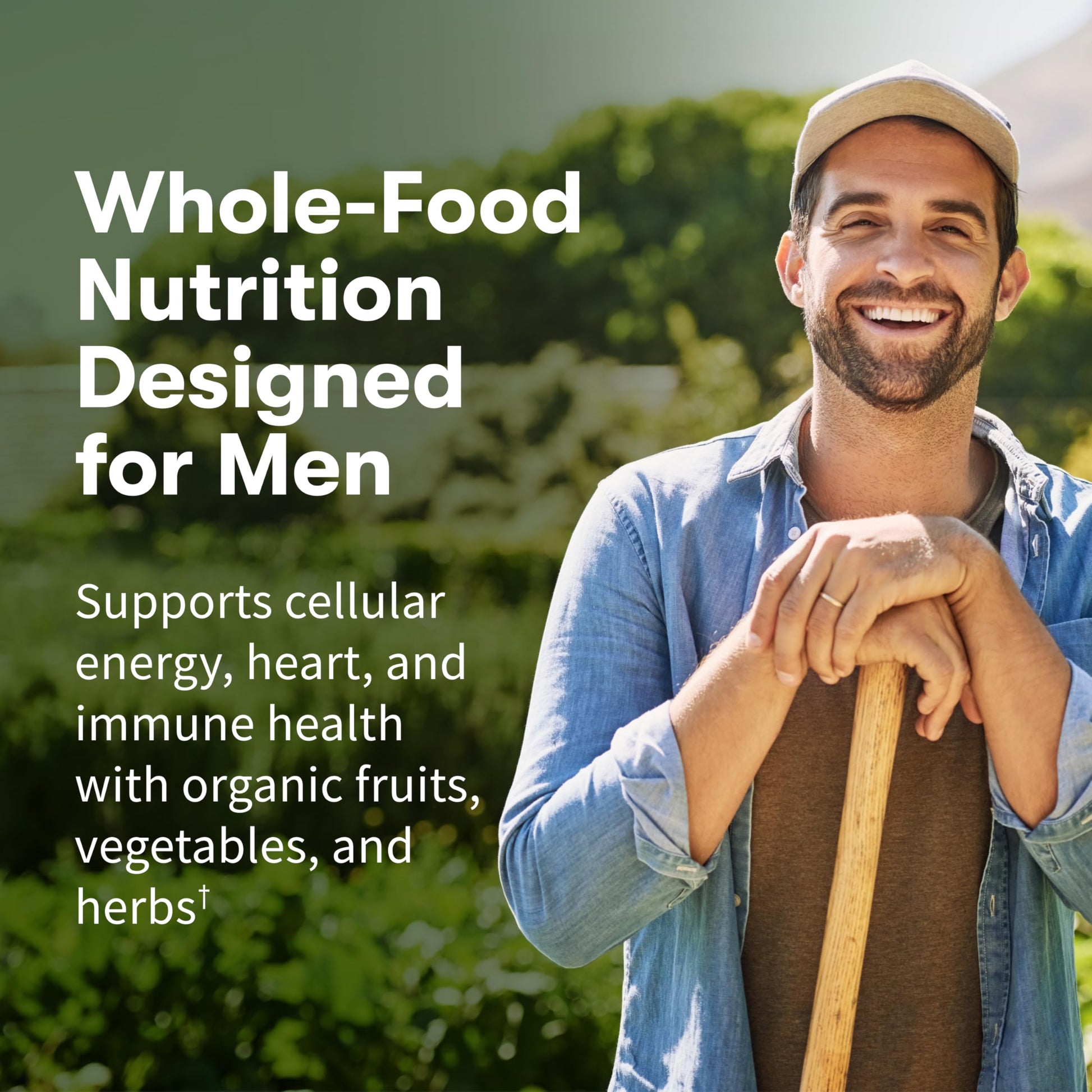 Garden of Life Once Daily Whole Food Multivitamin for Men, Organic Mens Vitamins & Minerals, Vitamin C, Zinc, Vegan, for Health & Well-Being, 60 Tablets Garden of Life buy supplements Au