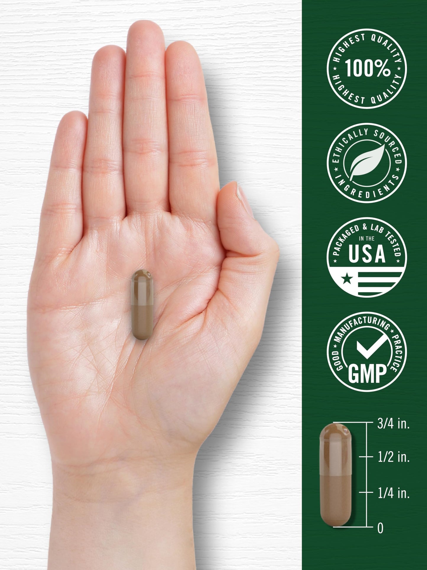 Carlyle Valerian Root Capsules | 240 Count | Herb Extract Supplement | Non-GMO, Gluten Free