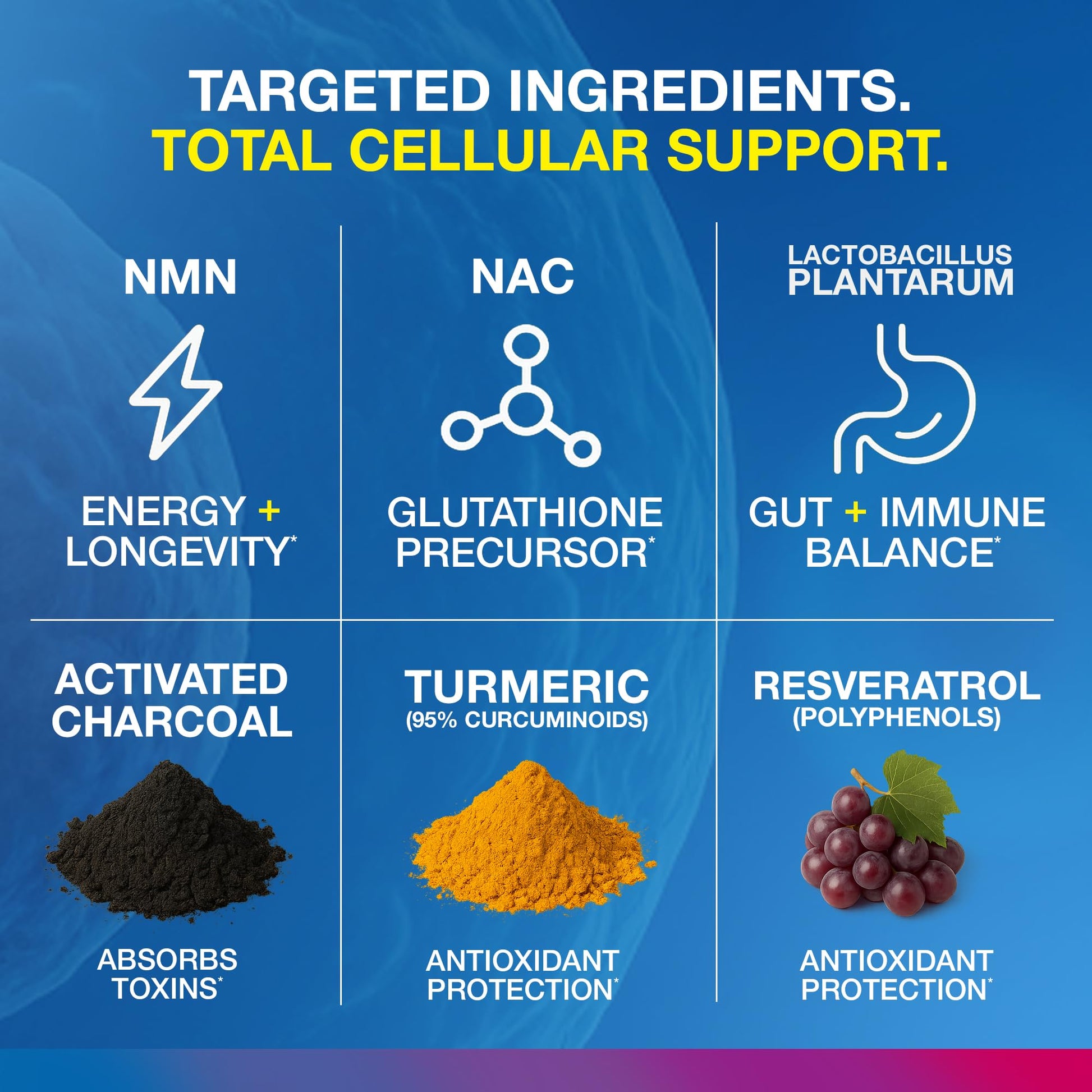 Vitology MP-PRO Microplastics Defense | 15 Billion CFU Probiotic + Antioxidant Blend | NMN, NAC, Glutathione, Resveratrol & Charcoal | Supports Cellular Detox, Longevity & Gut Health – 60 Capsules Vitology buy supplements Au
