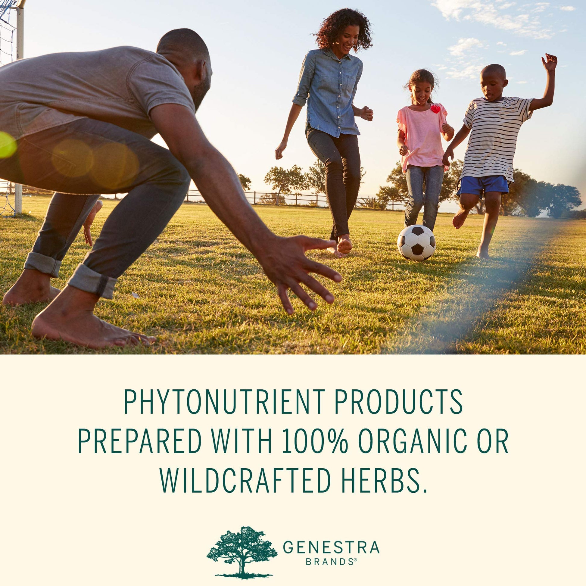 Genestra Brands Phyto Greens Capsules | Vitamins, Dietary Fiber and Enzymes for Optimum Nutrition | 180 Capsules Genestra BrandsBuy Supplements Australia