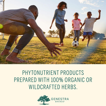Genestra Brands Phyto Greens Capsules | Vitamins, Dietary Fiber and Enzymes for Optimum Nutrition | 180 Capsules Genestra BrandsBuy Supplements Australia