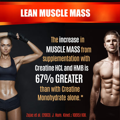 Creatine HCL Capsules with HMB - Workout Supplement for Men & Women, Muscle Builder, Endurance, Strength, Superior to Monohydrate: Instantized for Max Absorption, No Load