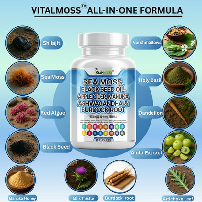 Kun Shafi Sea Moss Complex – with Black Seed Oil, Shilajit, Amla, Moringa, Turmeric, Ashwagandha & Burdock – Enriched with Vitamin C, D3, Chlorophyll, Manuka & Ginger – 60 Capsules Kun Shafi buy supplements Au