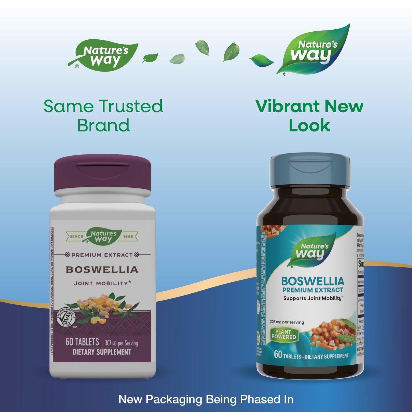 Nature's Way Boswellia Premium Extract, Supports Joint Mobility*, 307 mg Boswellia serrata Extract per Serving, Frankincense Supplement, Gluten Free & Vegan - 60 Tablets (Packaging May Vary) - 2 Pack Nature's WayBuy Supplements Australia